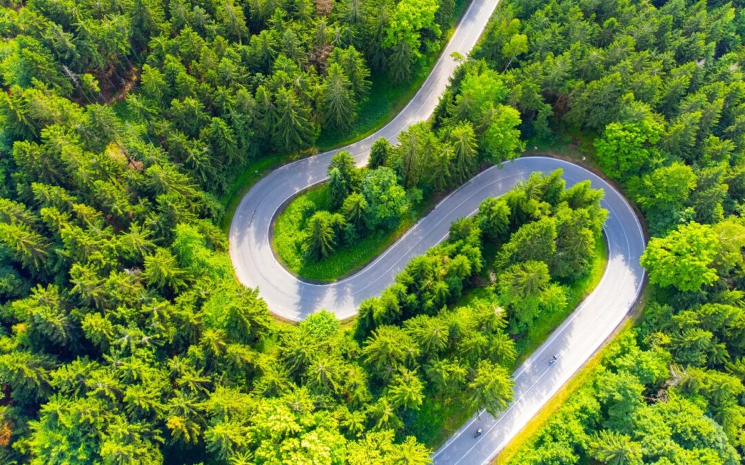 RIFORESTAZIONE URBANA: benefici per l’ambiente e le persone