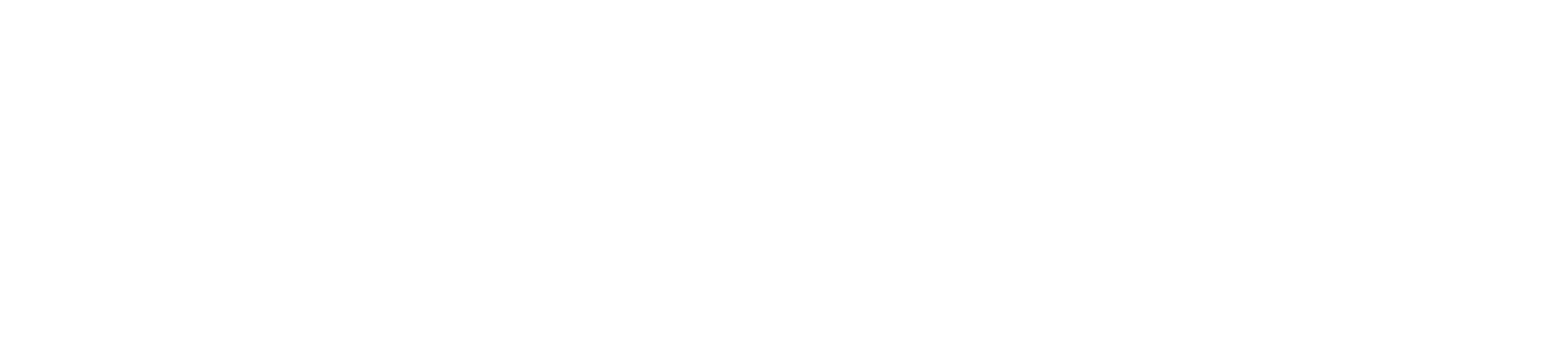 logo-stilfibra-bn