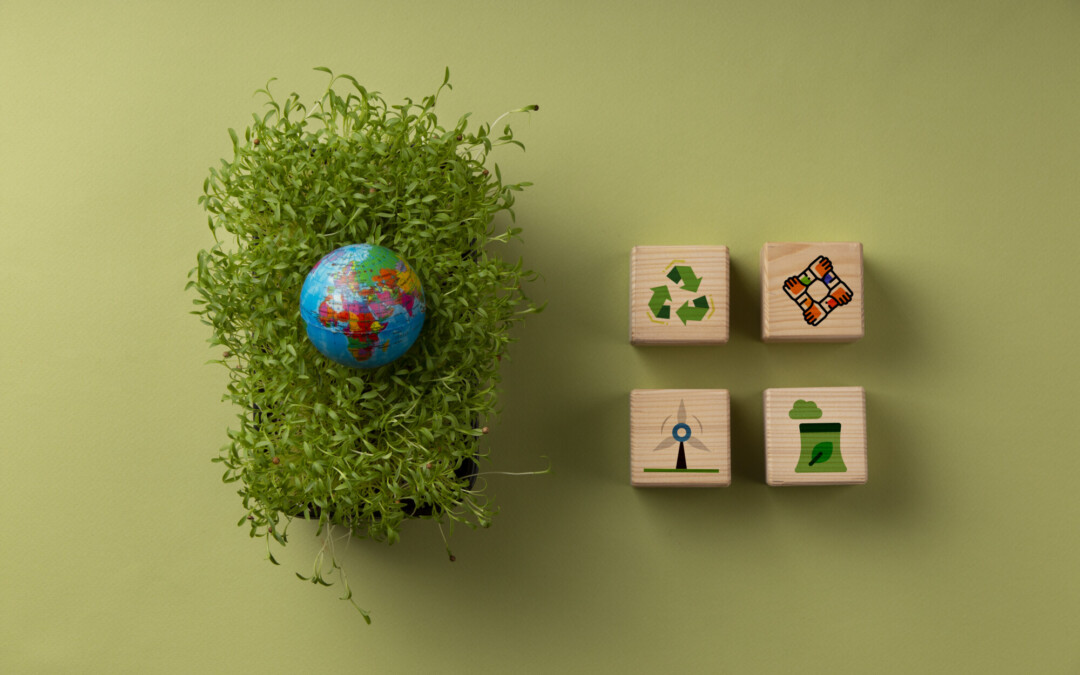 TRANSIZIONE ECOLOGICA: basta parole vuote